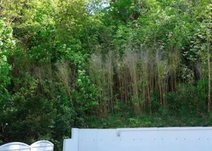 T2 Au Calme A 3min De La דירה *